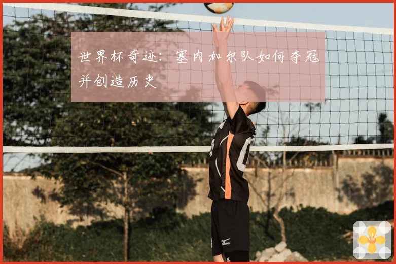 世界杯奇迹:塞内加尔队如何夺冠并创造历史