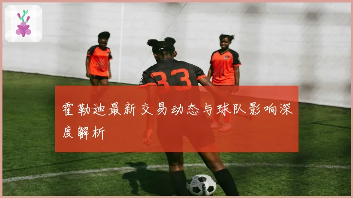 霍勒迪最新交易动态与球队影响深度解析